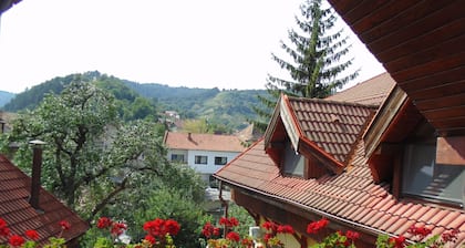 Hotel Curtea Brasoveana