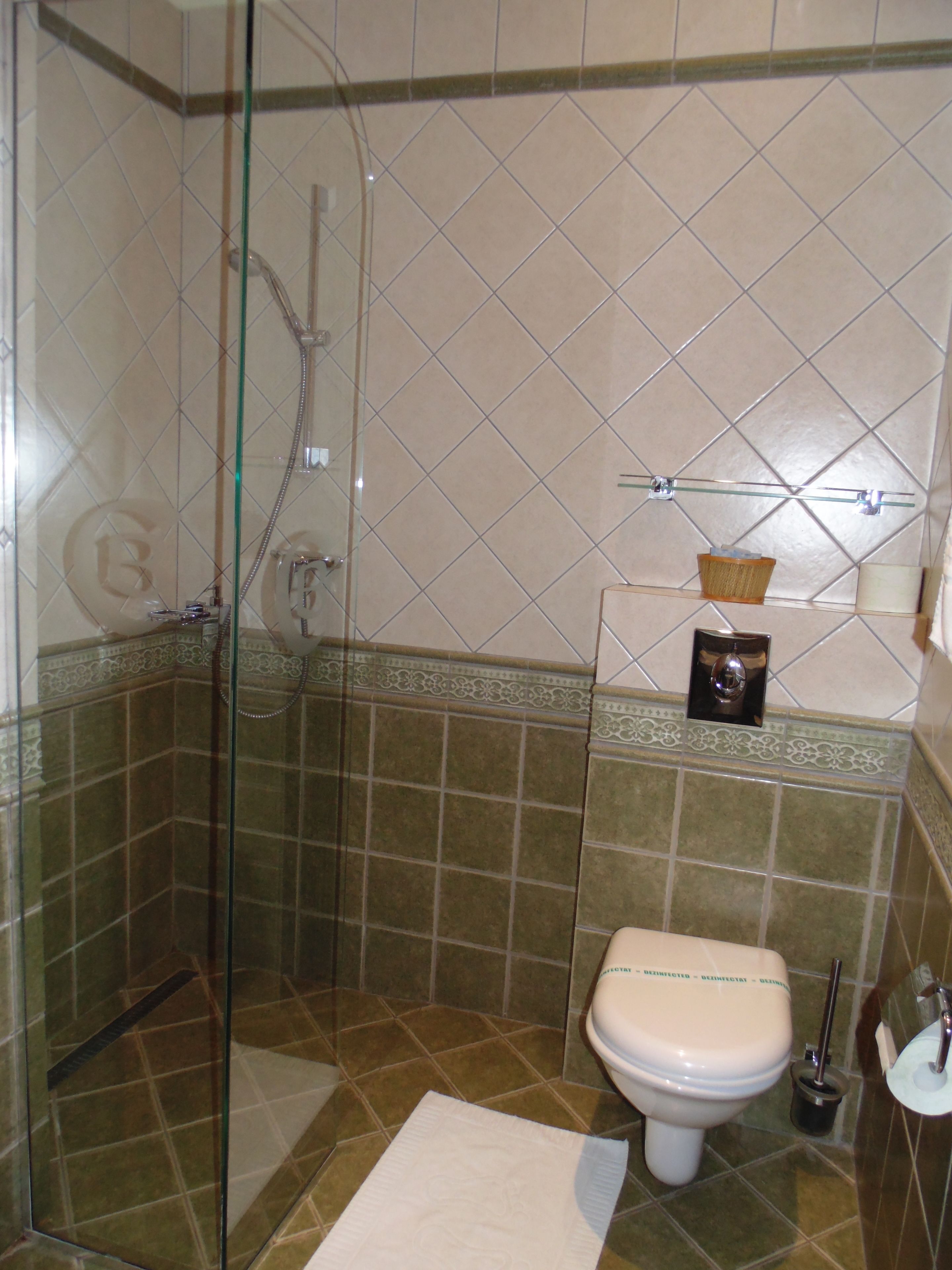 A bathroom with a glass-enclosed shower, a toilet, and a sink.