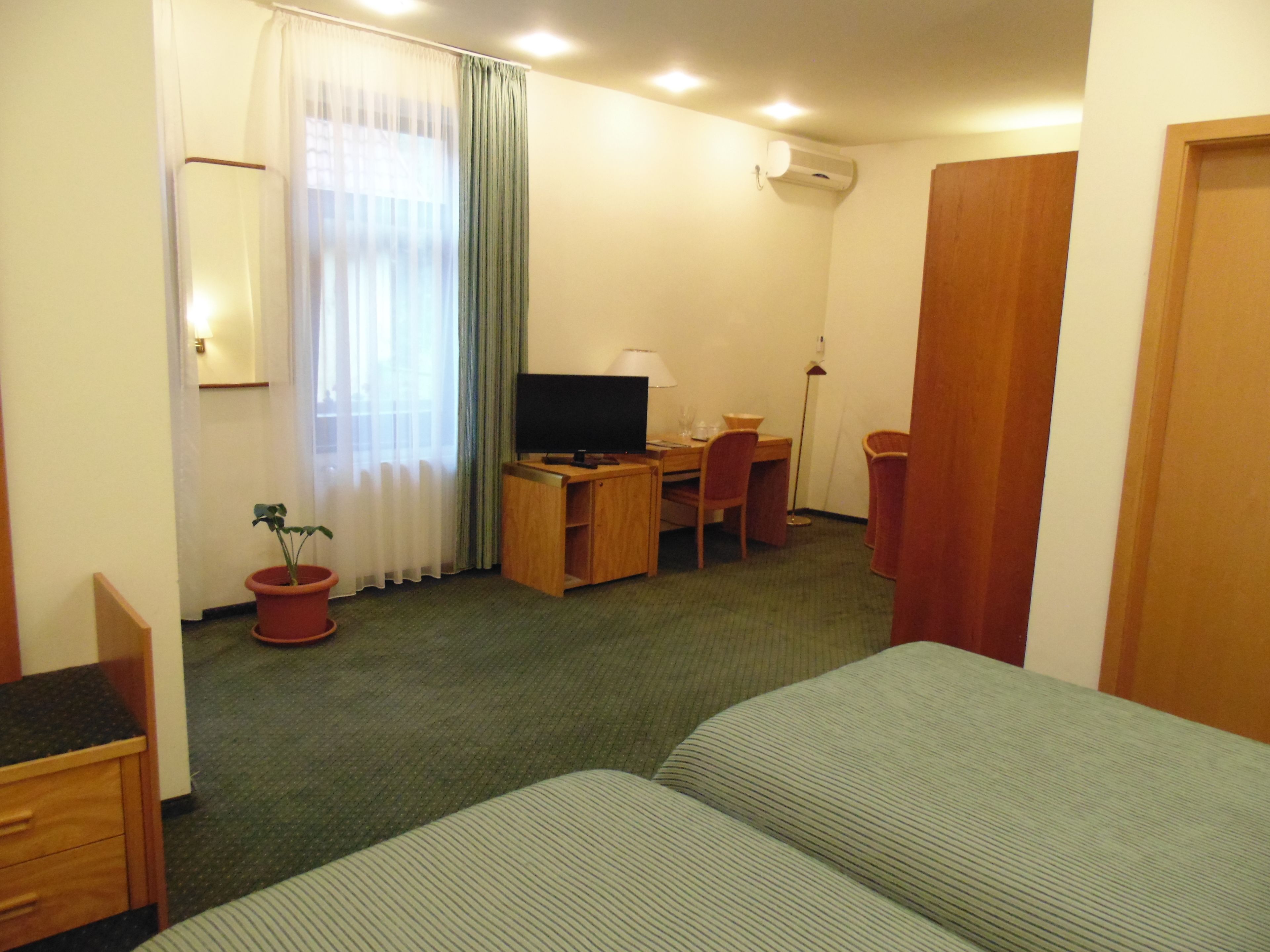 A hotel room with a bed, a desk, a chair, a television, and a potted plant.
