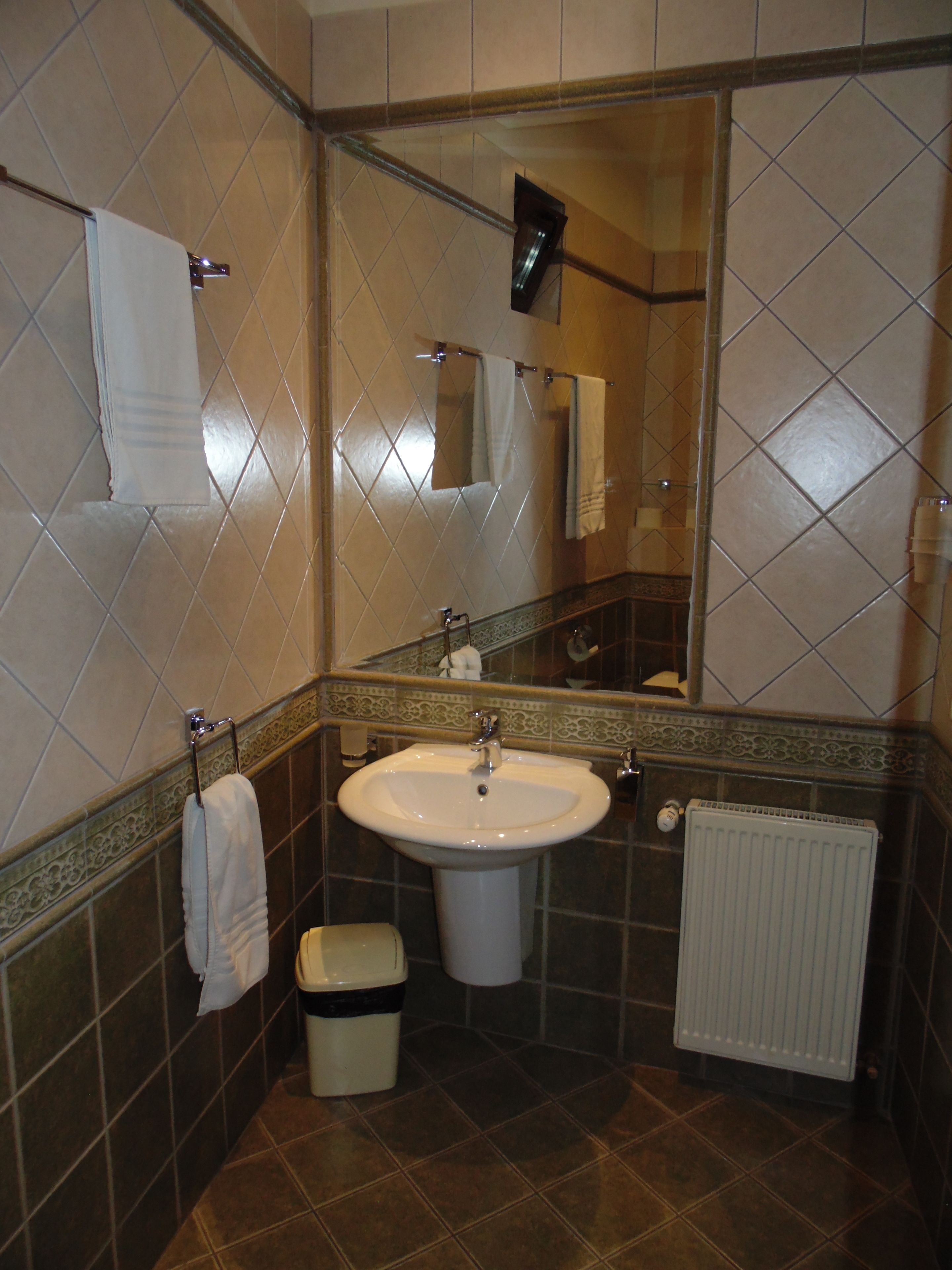 standard twin room | bathroom sink