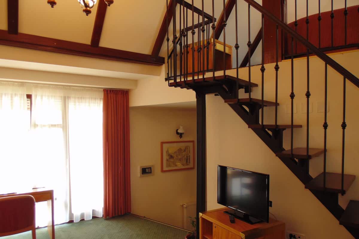 Suite Junior | Minibar, una cassaforte in camera, una scrivania, ferro/asse da stiro
