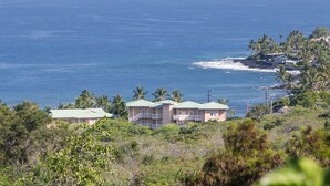 A coastal property with multiple buildings, including a two-story structure with a green roof and a smaller single-story building. The property is surrounded by lush greenery and overlooks the ocean. - Aloha Condos, Beach Villas at Kahaluu, Villa 1-202, Beach View, AC (Kailua Kona)