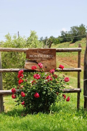 Terrain de lâhĂ©bergement