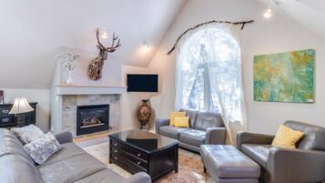 TV connectée, cheminée, lecteur de DVD, livres