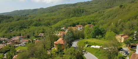 A hillside village with houses, a winding road, and lush greenery.