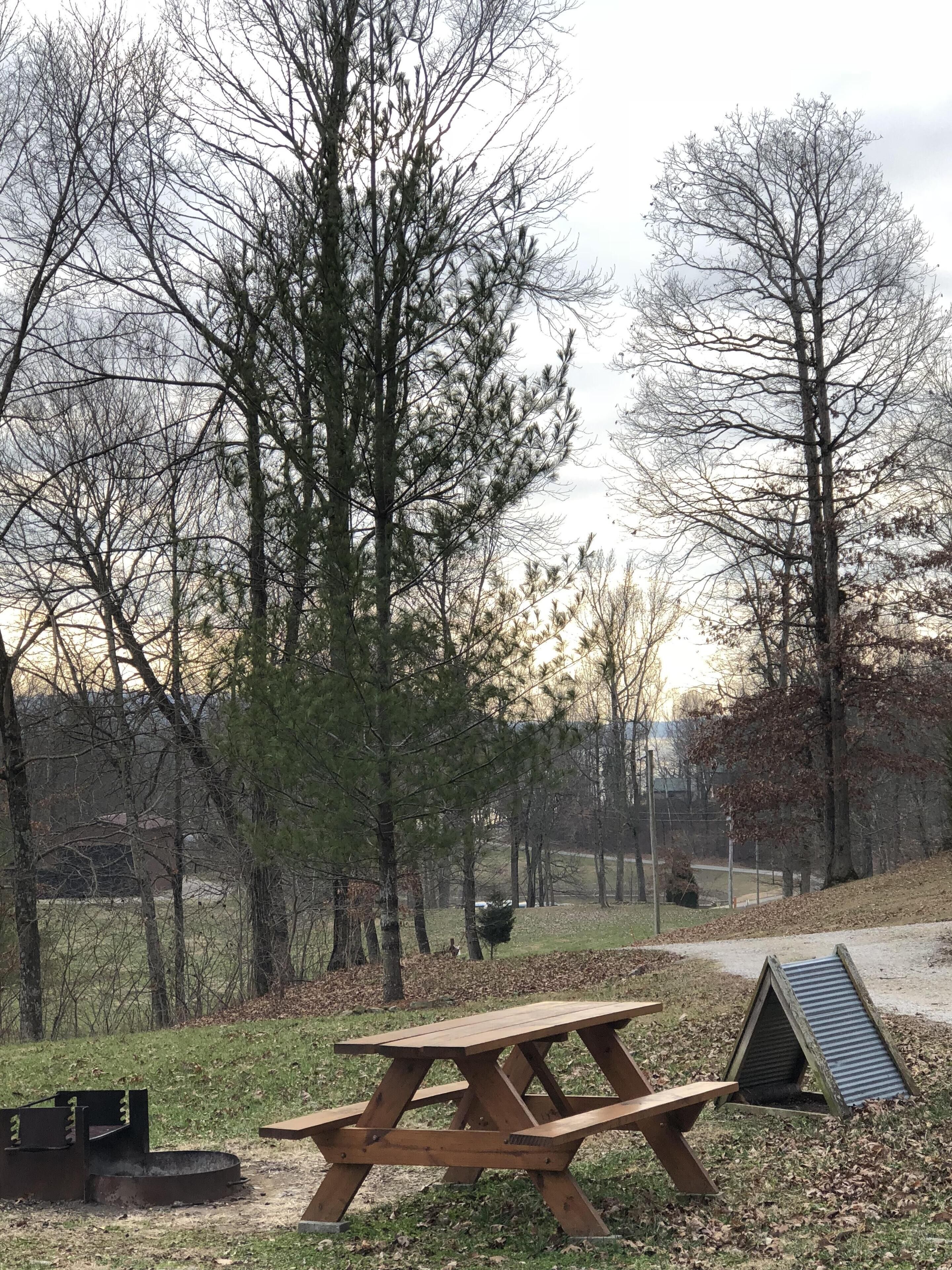 A picnic table in a park with trees and a small shelter.
