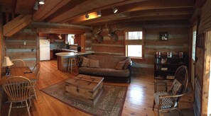 TV, DVD player, books, video library