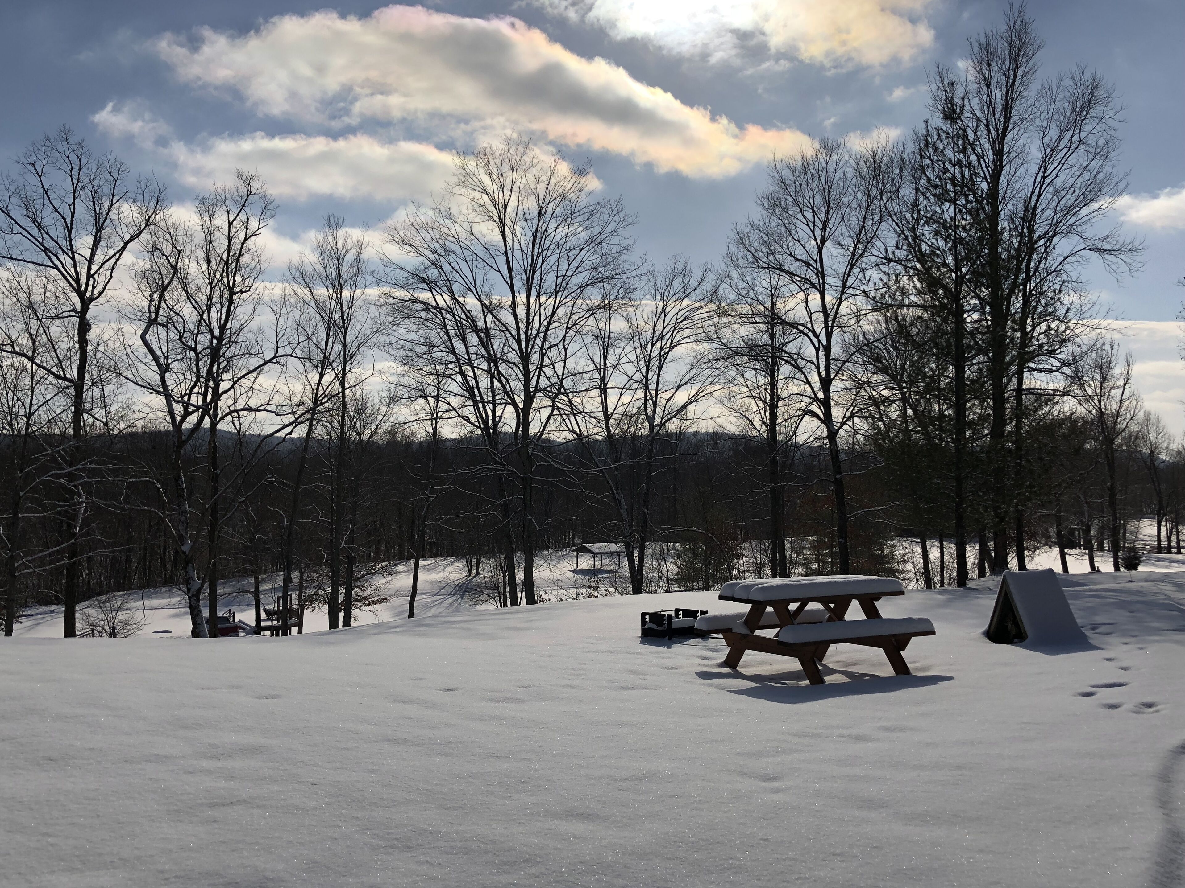 A snowy landscape with bare trees and a picnic table.