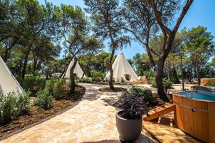 Un sauna, una bañera de hidromasaje, masajes