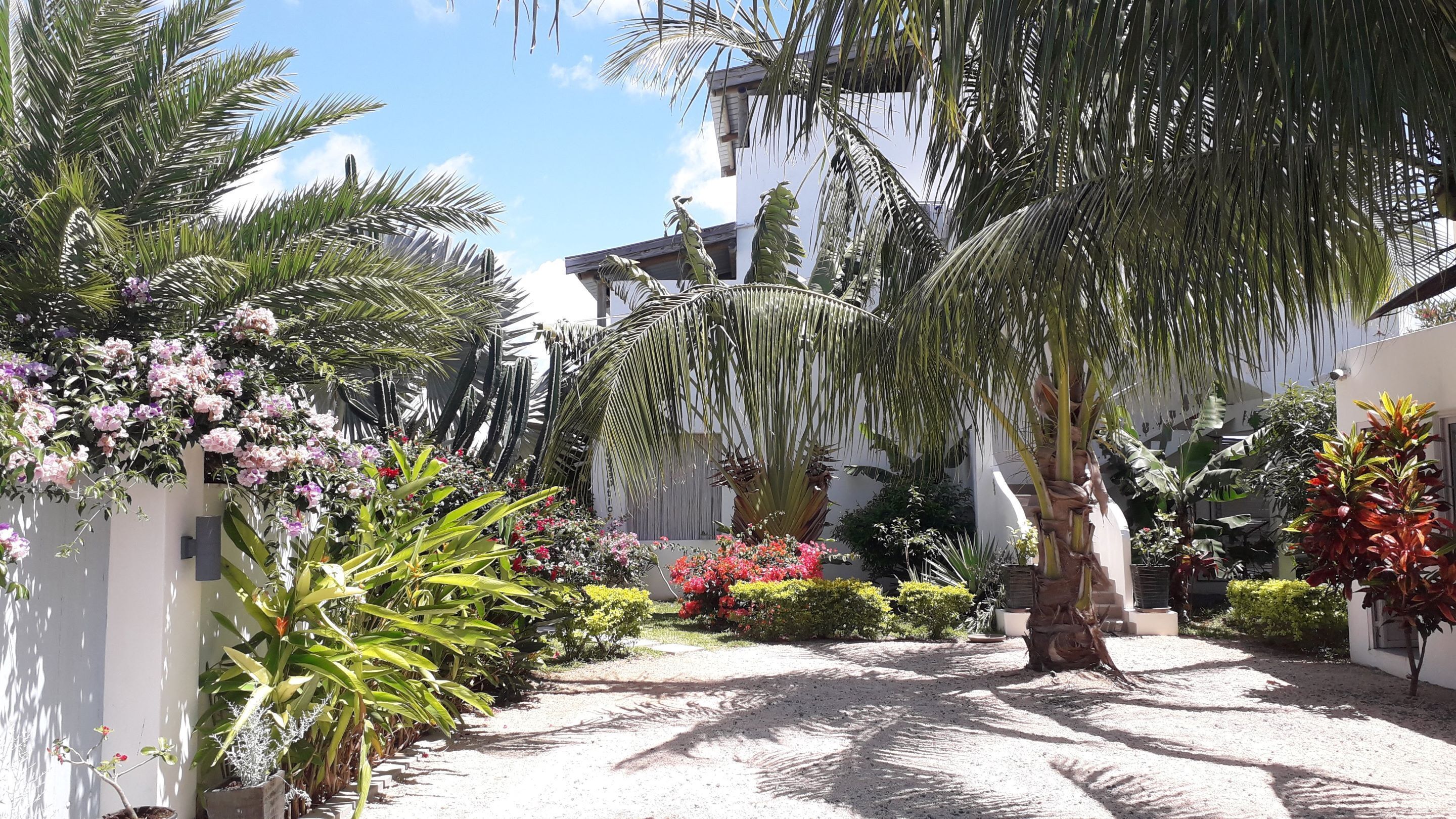 Foto - Le Mandala Moris Guesthouse Pointe aux Canonniers