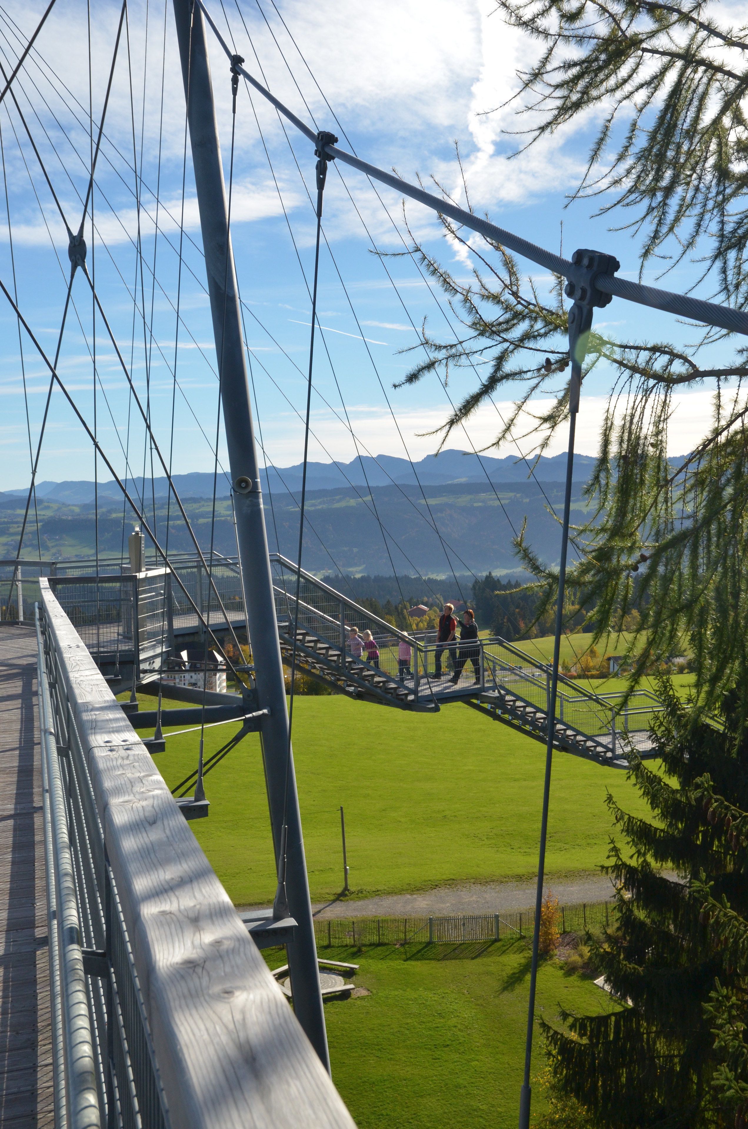 Een hangbrug met metalen leuningen en een glooiend grasland eronder.
