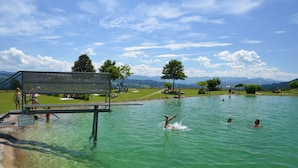 Una piscina con agua cristalina, rodeada de árboles y un césped.