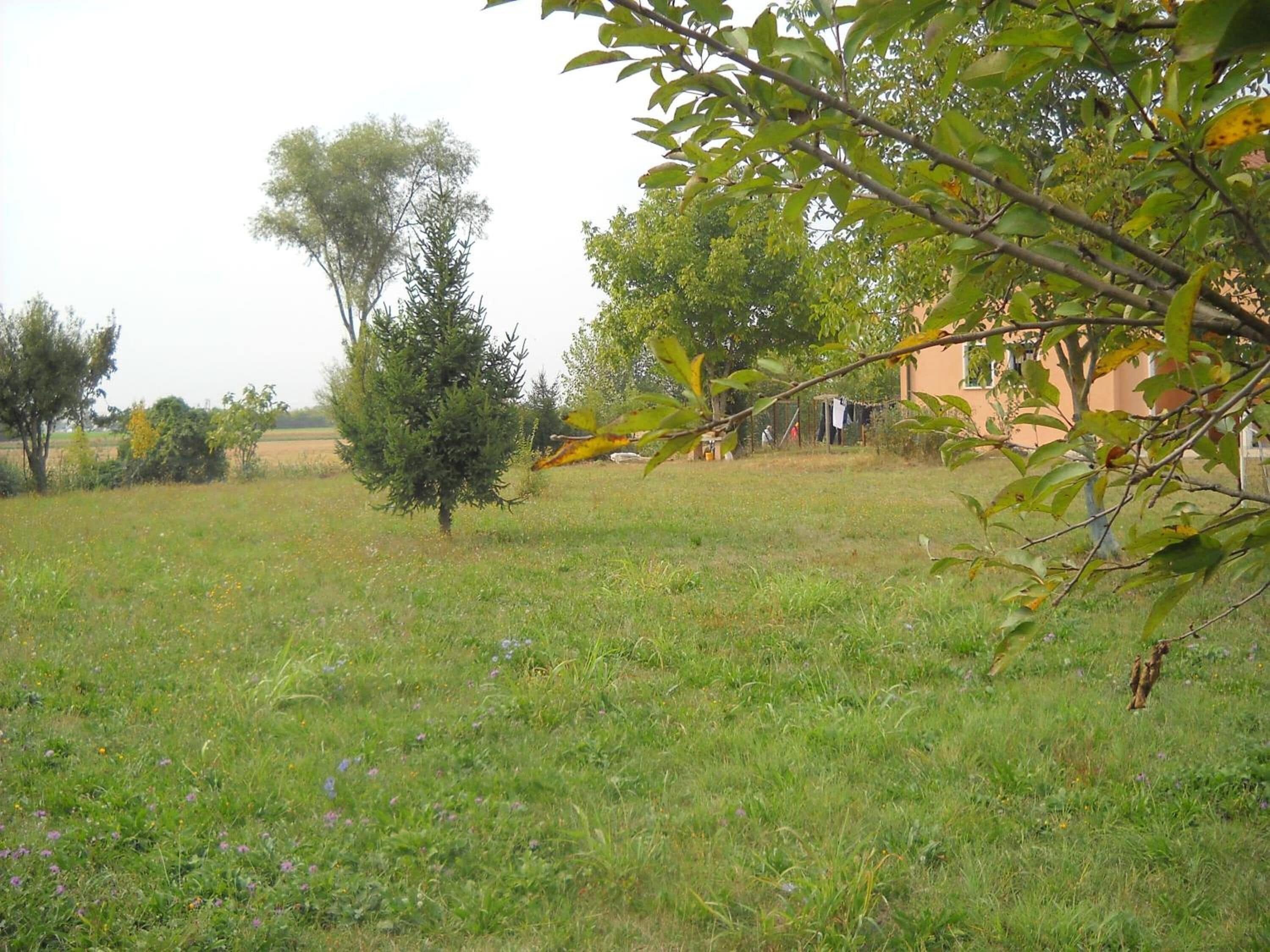 Photo - Agriturismo Campi Di Grano