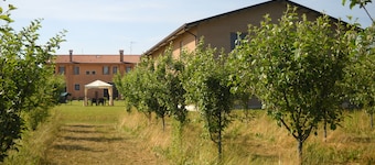 Agriturismo Campi di Grano