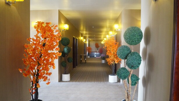 A hallway with potted plants and wall-mounted lights. - Shiva Inn (Bilha)