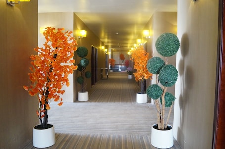 Hallway. Shiva Inn