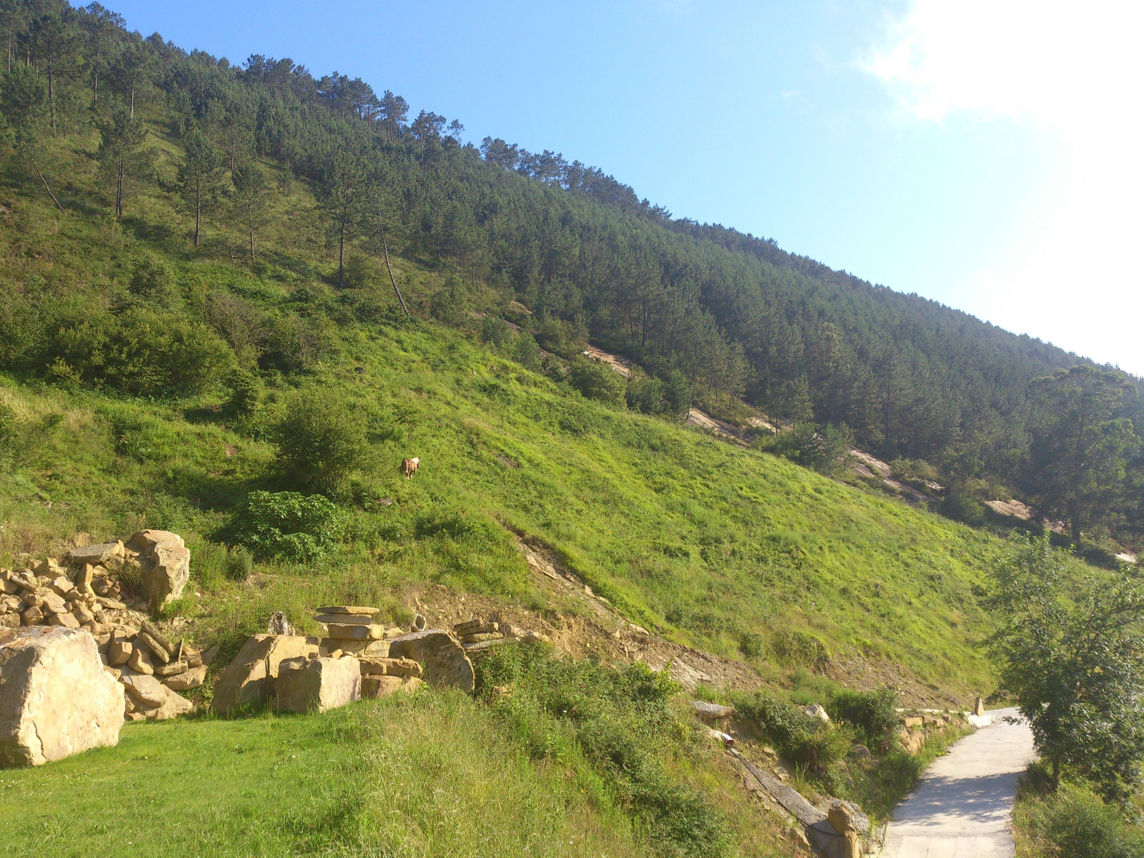 Photo - Agroturismo Itxaspe