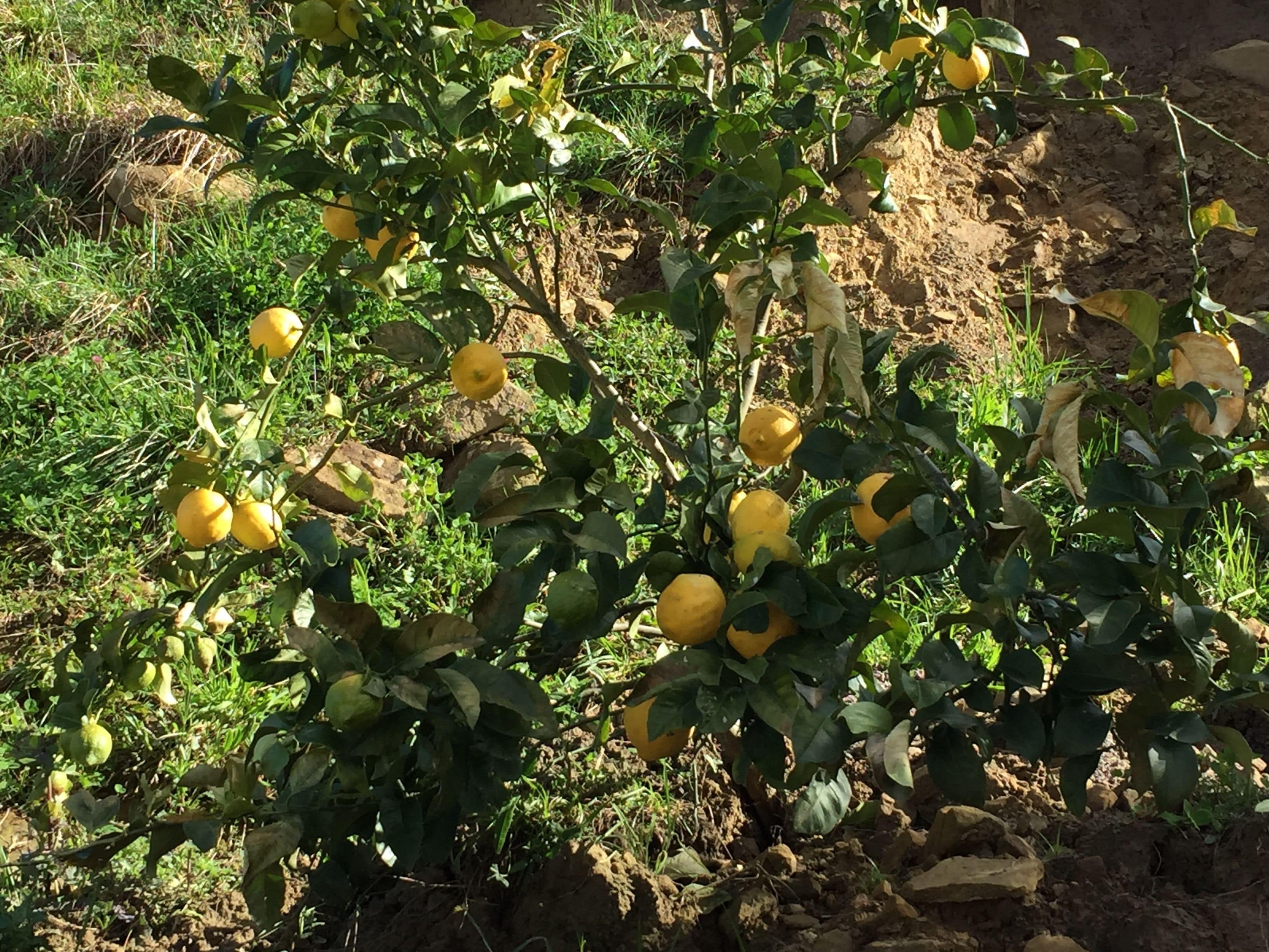 Photo - Agroturismo Itxaspe