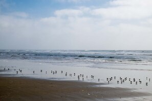 Enjoy a serene beachside escape with access to the ocean.