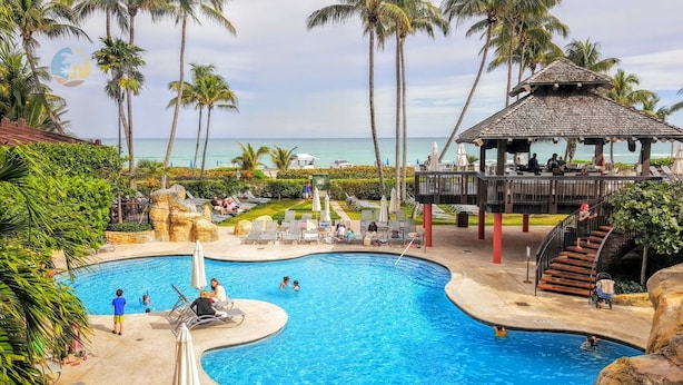 A pool area with lounge chairs, a gazebo, and palm trees. - Beautiful Direct Oceanfront 4 Bedroom with Blue Ocean Views - 702 (Miami Beach)