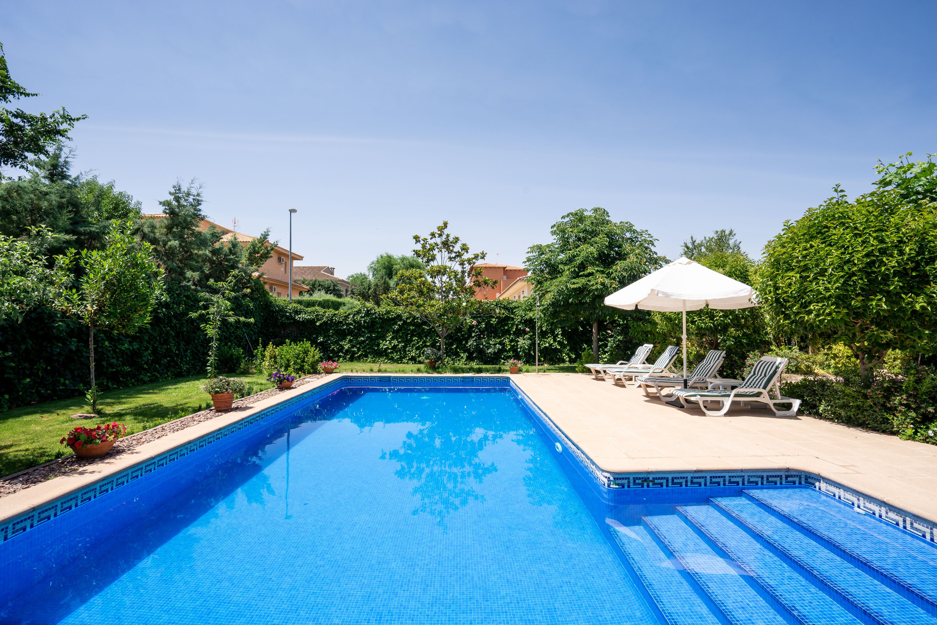 Outdoor pool, pool loungers