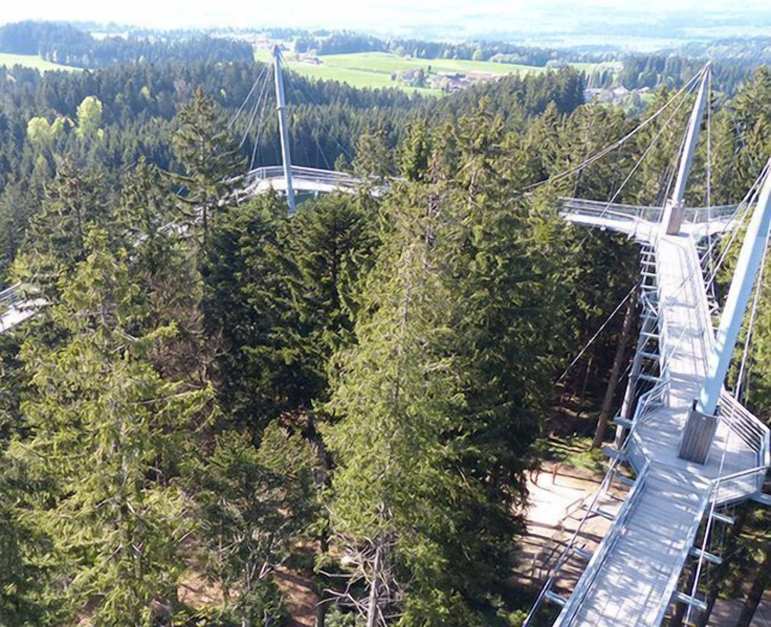 A suspension bridge with a metal walkway, surrounded by dense forest and open fields.