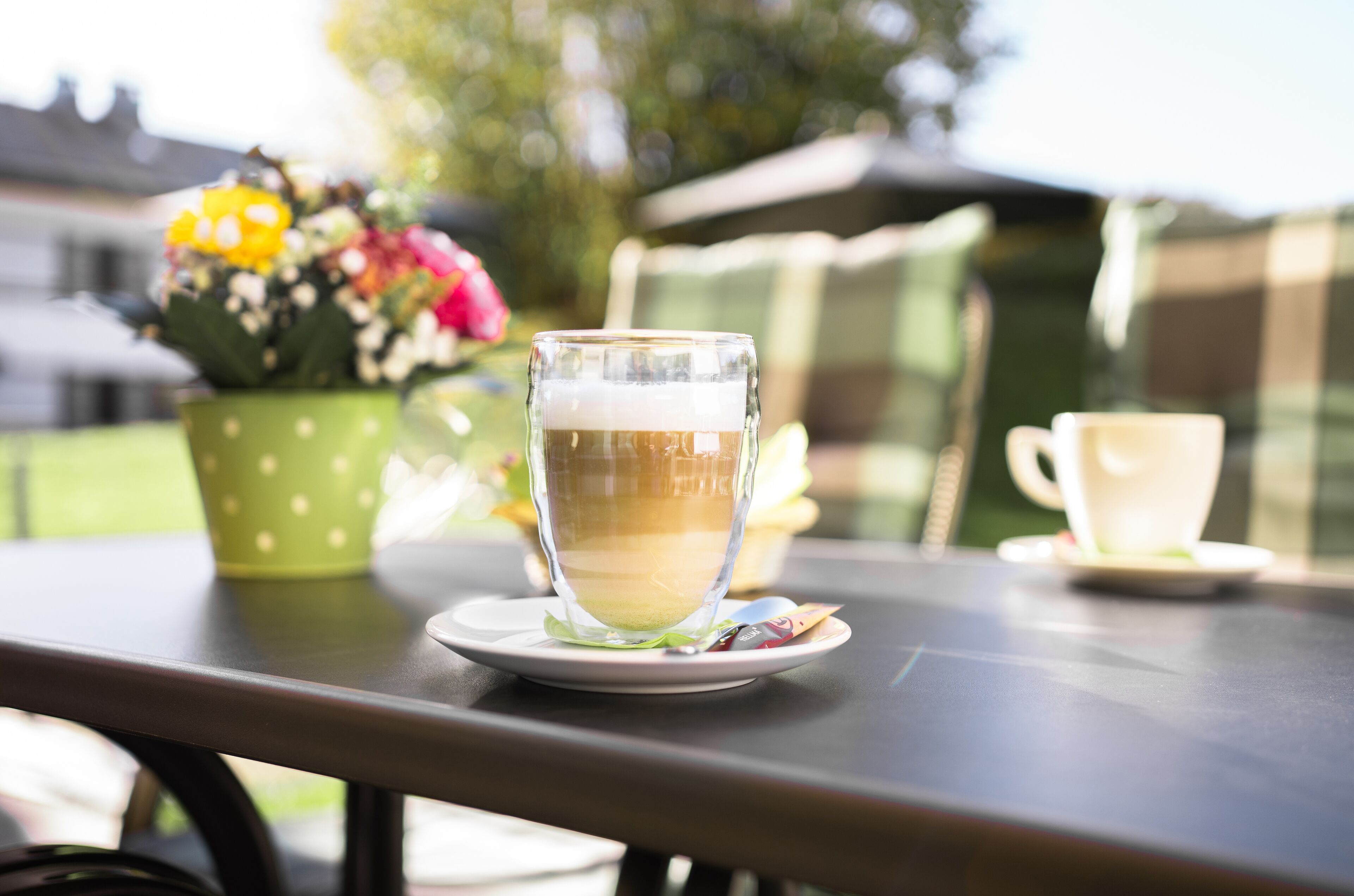 A glass of beer on a table with a green polka-dotted pot of flowers in the background.
