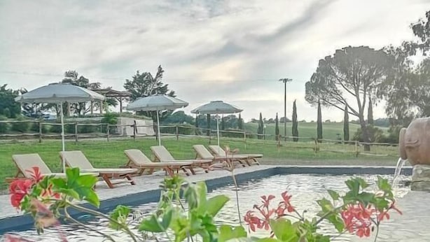 A pool area with lounge chairs and umbrellas, surrounded by greenery and trees. - Wine Resort Colsereno (Montalcino)
