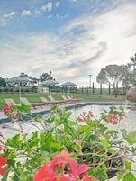 Un área de piscina con sillas de descanso y sombrillas, rodeada de vegetación y árboles.