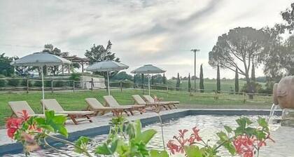 Wine Resort Colsereno