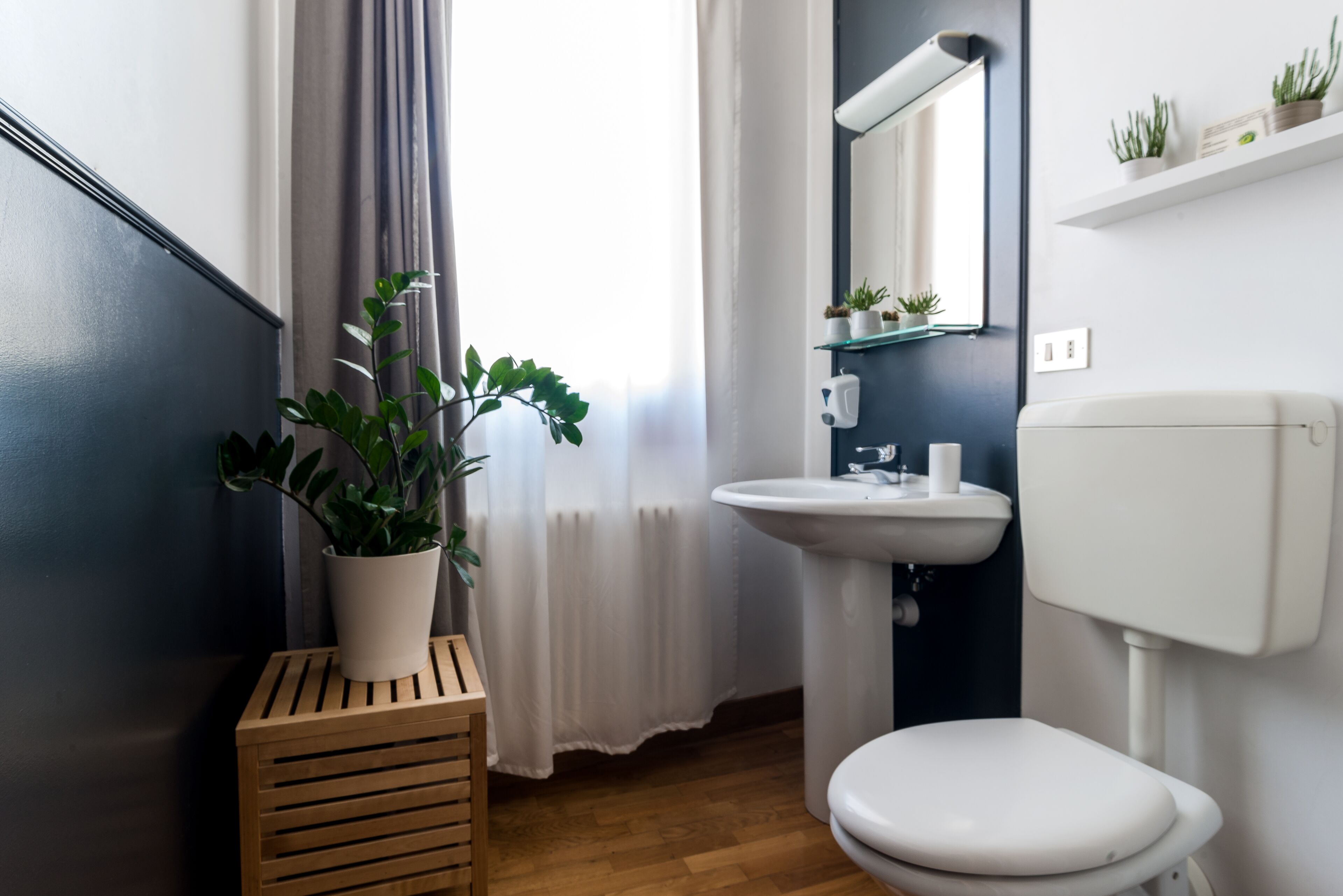 A bathroom with a white sink, toilet, and a potted plant on a wooden stool.