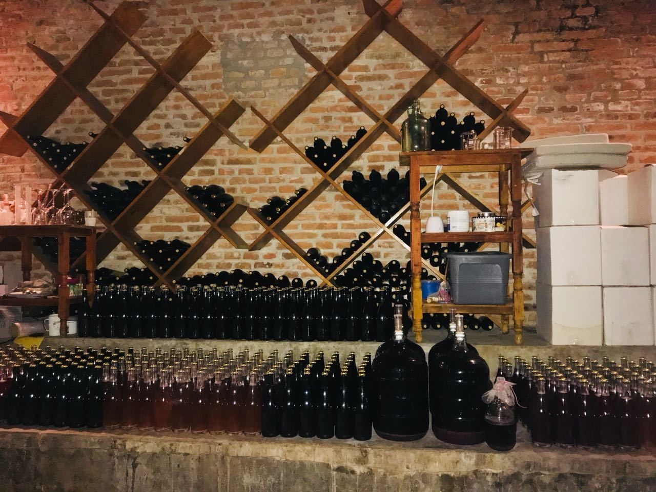 Vineyard