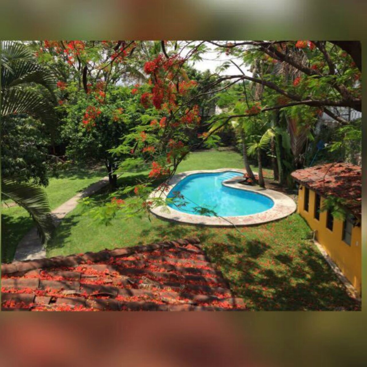 Imagen de perfil del propietario o de la propietaria