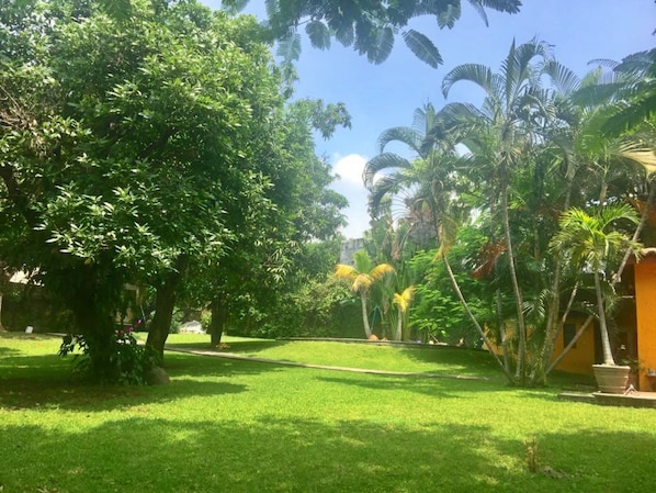 Un jardin luxuriant, avec une grande variété d’arbres et une pelouse bien entretenue.