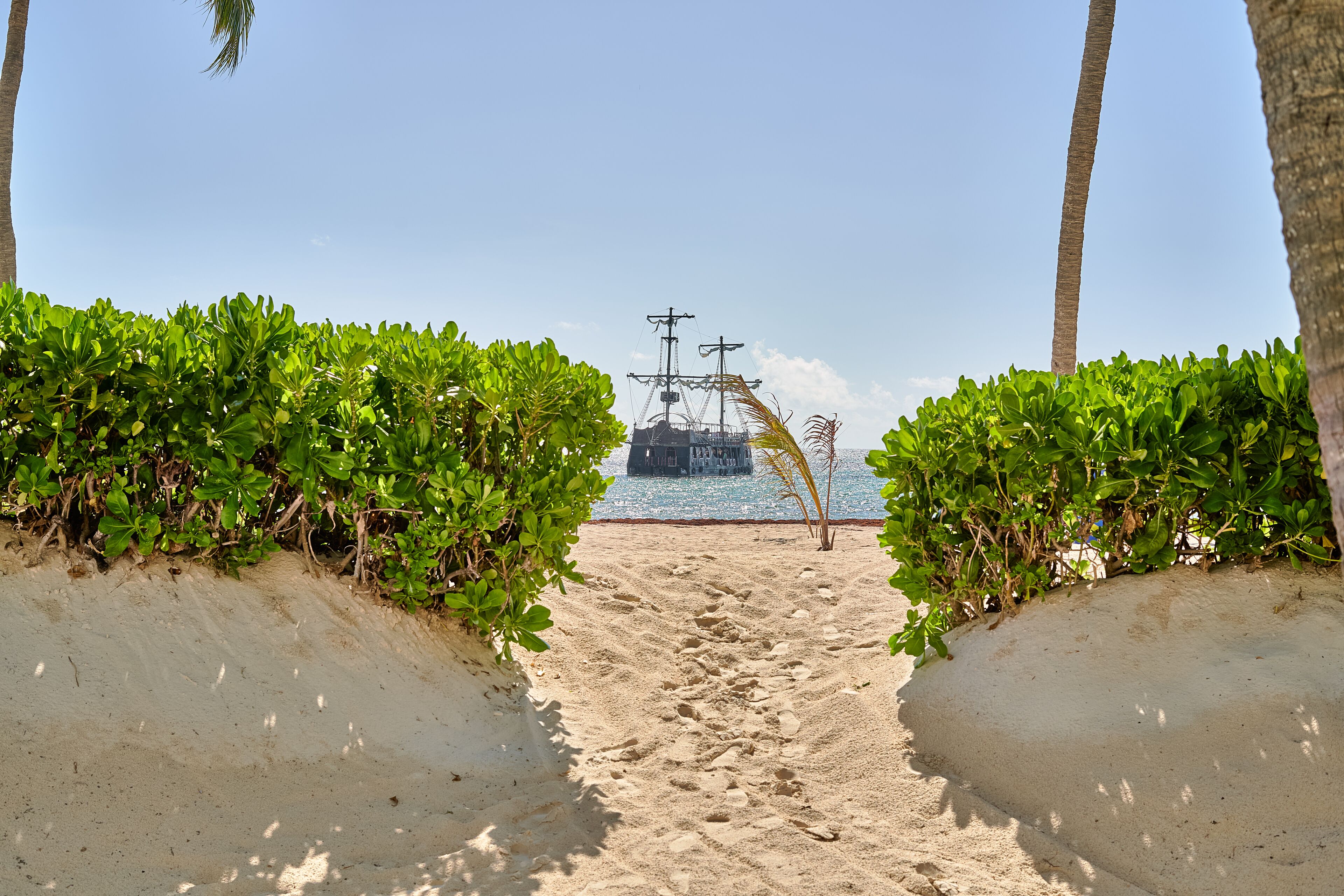 Un sentier de sable bordé de verdure mène à un plan d’eau où l’on aperçoit un navire au loin.