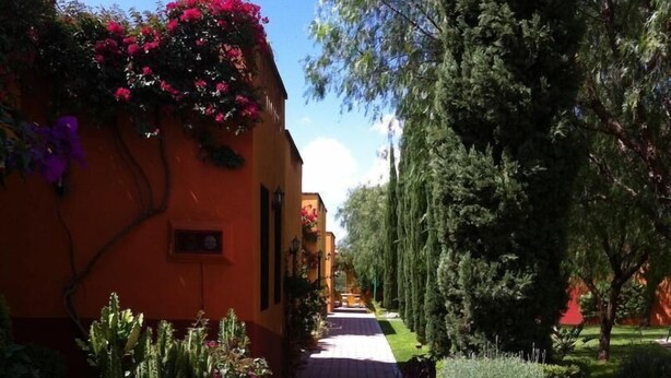 A pathway leading to a building with a brick facade, surrounded by potted plants and greenery. - Casa San Miguel 4479 (Mexico City)