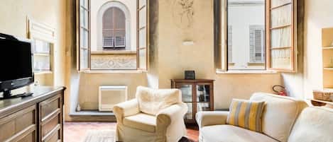 Smart TV, fireplace, books