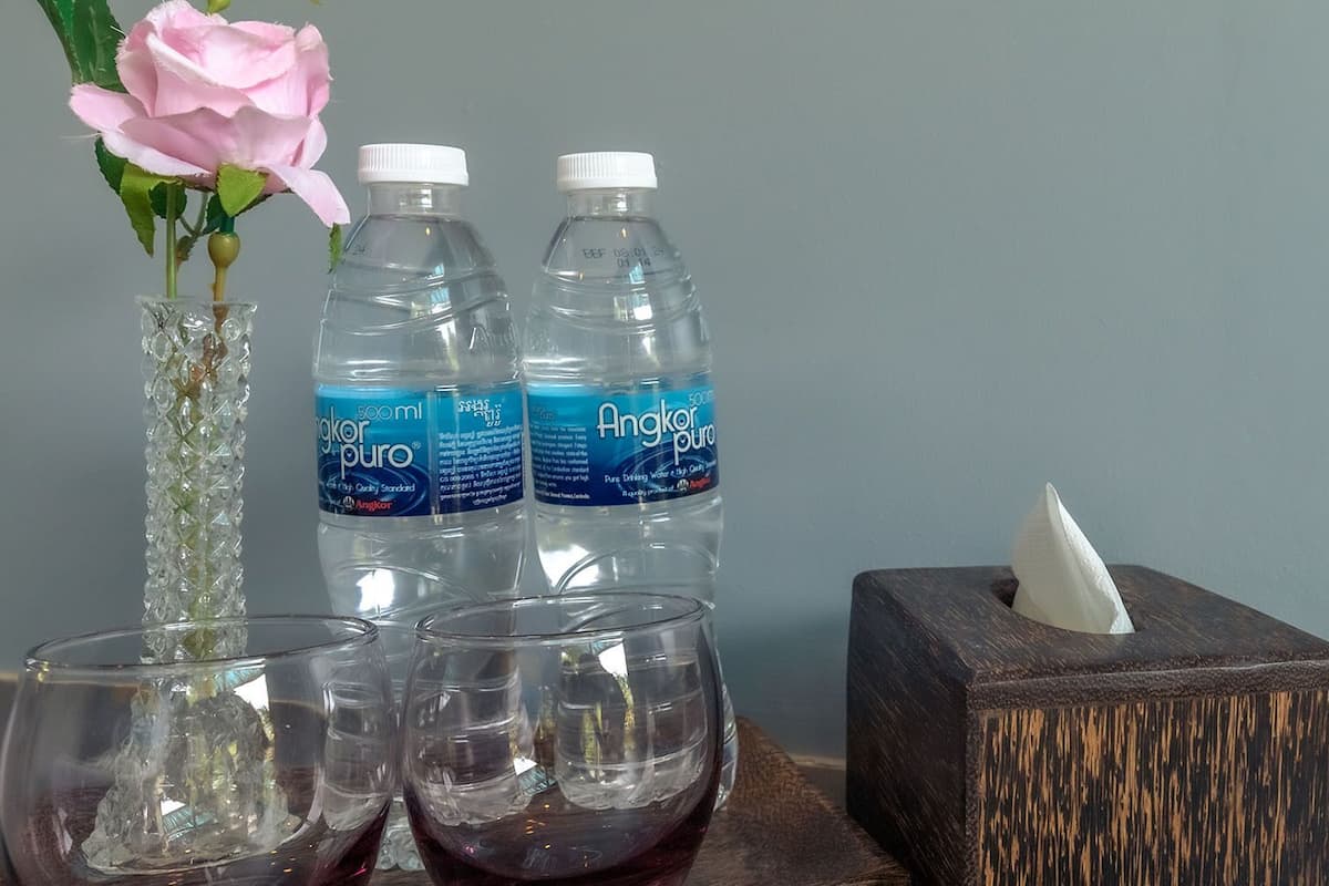 deluxe double bungalow garden view | room amenity