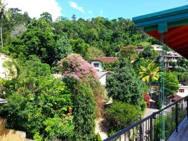 Vista desde la propiedad