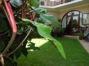 Property grounds - Villa 49 (Kandy)