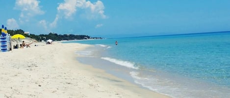 在海灘附近、躺椅