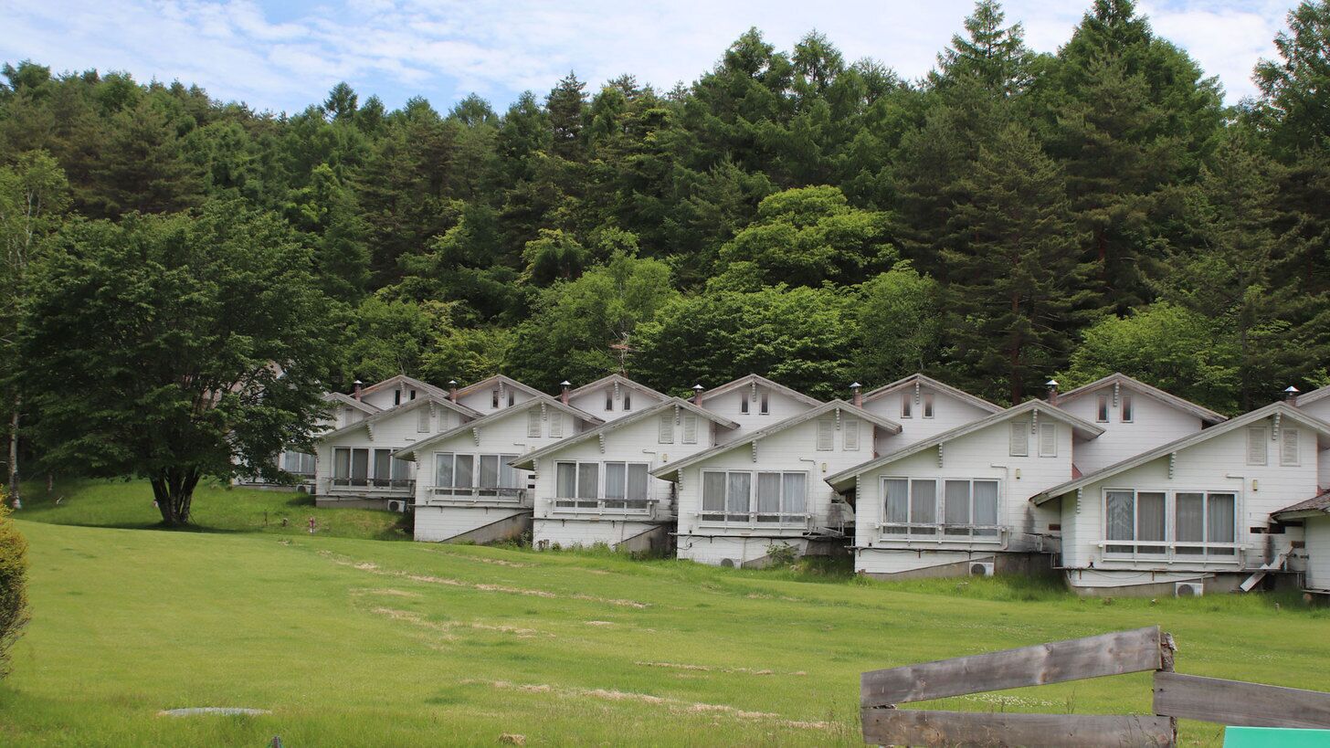 A row of white cabins with balconies, set against a backdrop of dense forest.