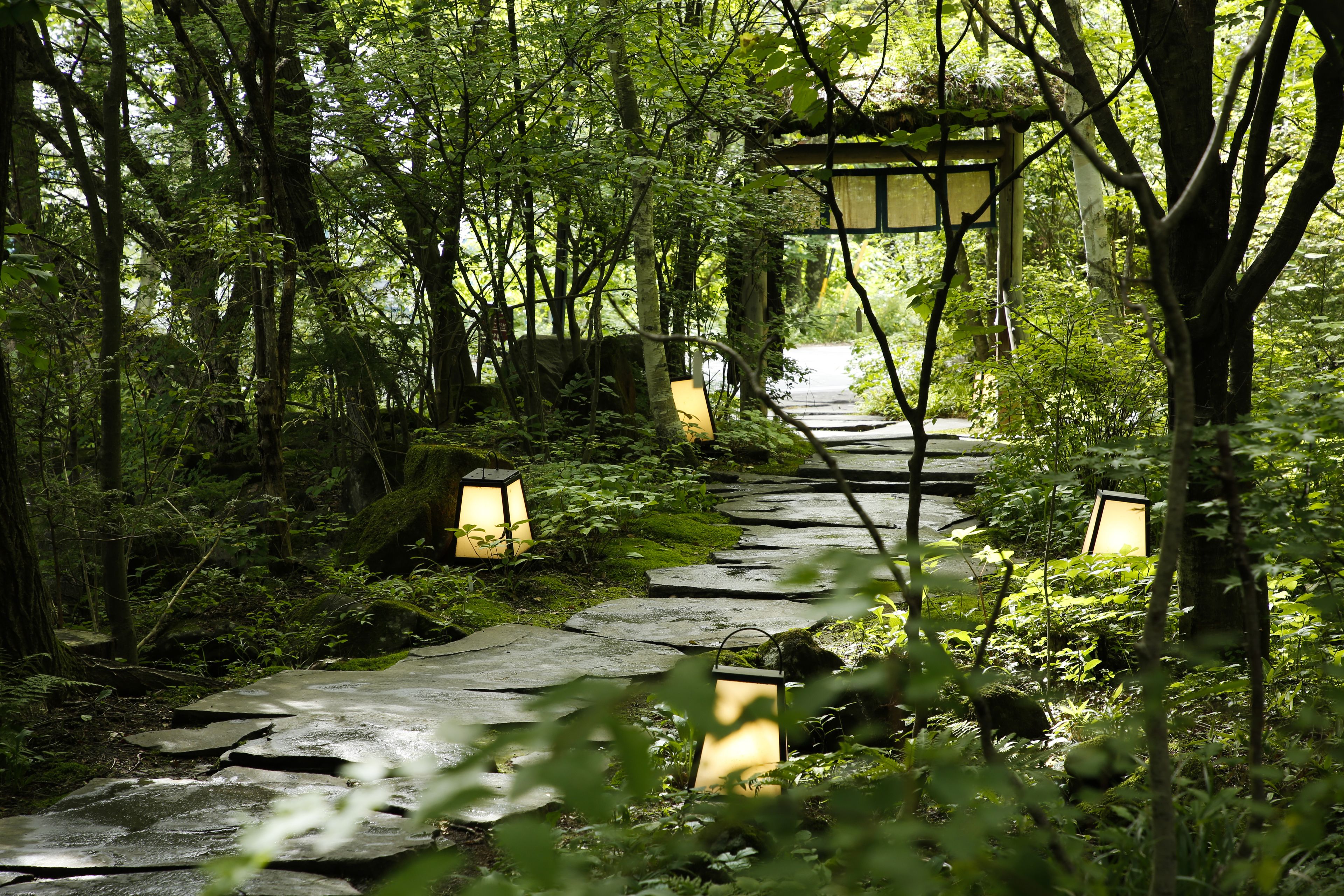 Jardin