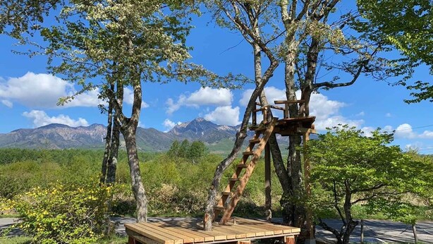A wooden deck with a ladder leading to a platform, surrounded by trees and a mountain view.