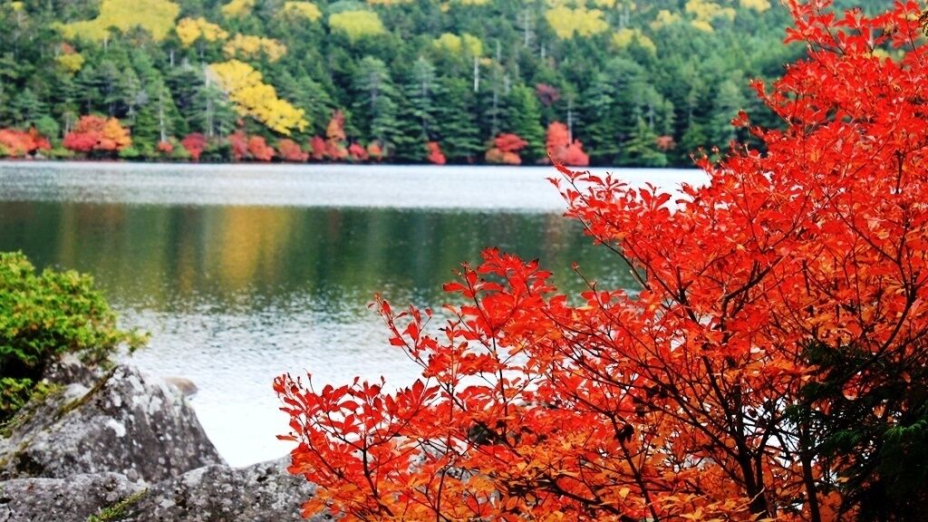 A lake surrounded by autumn foliage with trees displaying red and yellow leaves.