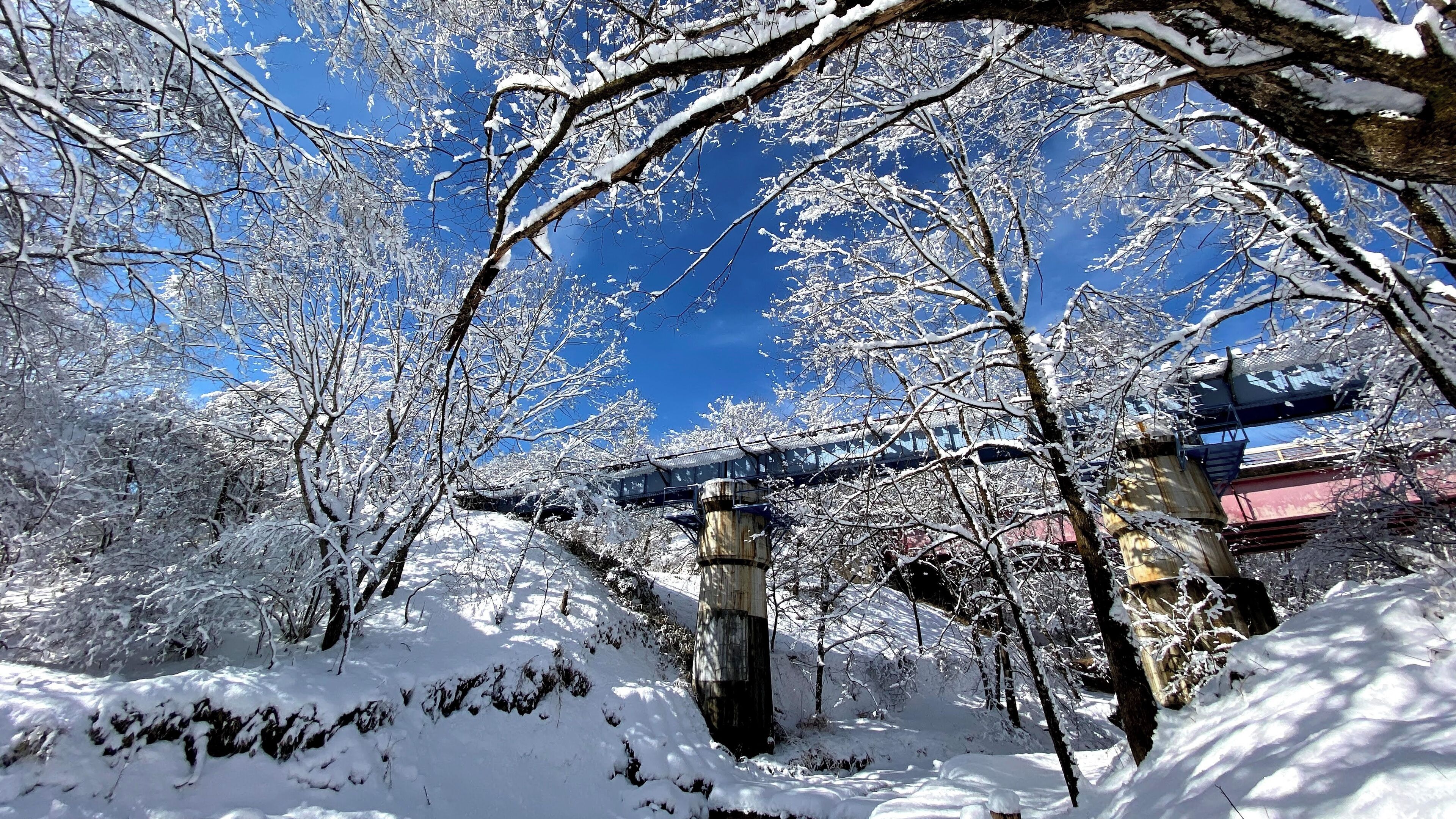 A snow-covered landscape with a bridge and trees.