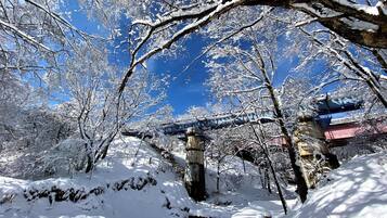 A snow-covered landscape with a bridge and trees.
