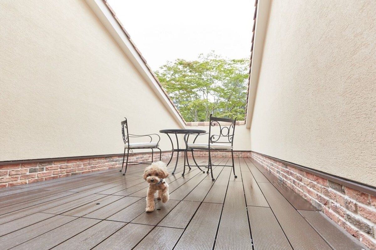 A small dog walking on a wooden deck with a brick wall and a table and chair set in the background.