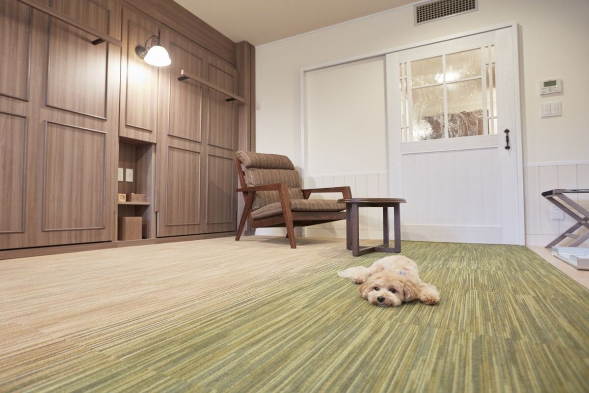 A room with a wooden wardrobe, a chair, a small table, and a dog lying on a green carpet.