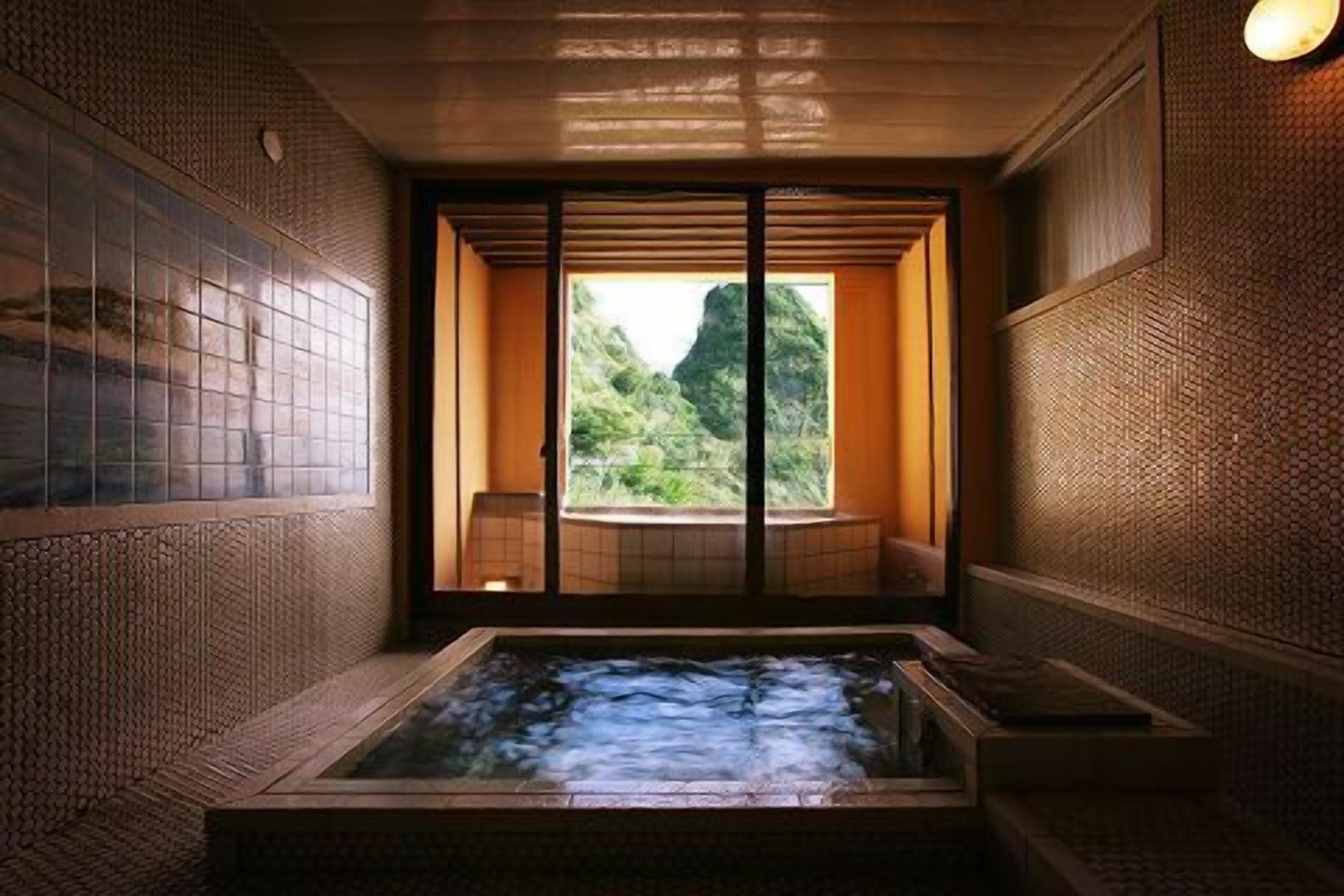 Wellness